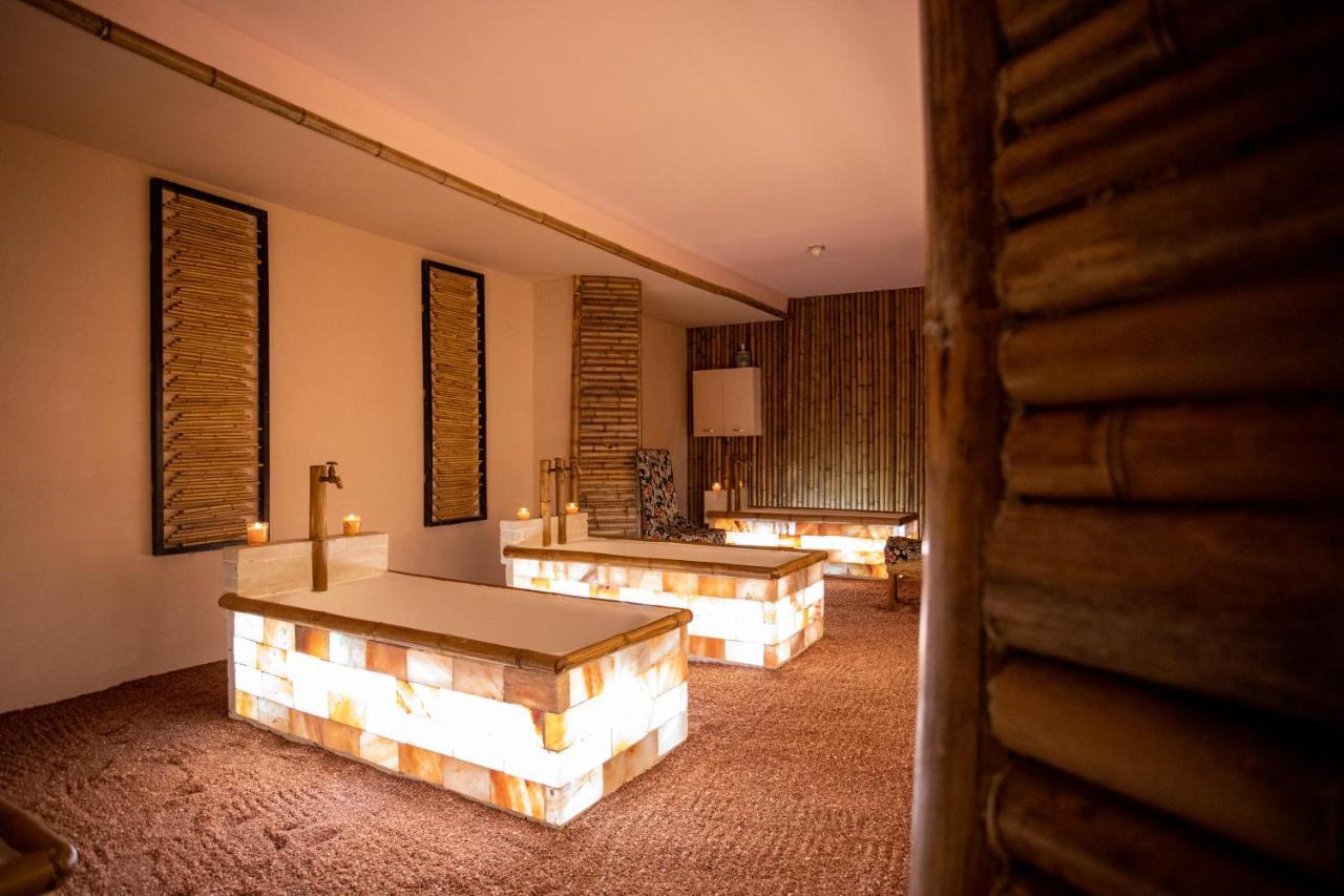 Park Hotel Terme Абано-Терме Экстерьер фото
